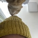 빈이네콩나물국밥 | 2021년 12월 랜덤일상