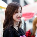 미나 카카오 검색결과