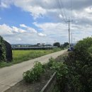 금호1농장 이미지