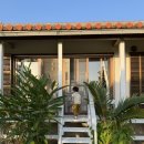 링크 늘푸른 애묘호텔 | [이시가키 여행] 아이와 함께한 꿈같은 시간, 나만 알고 싶은 이시가키 숙소 에어비앤비 추천