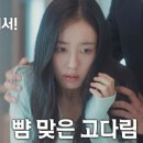 다다림 네이버블로그