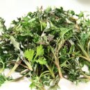 수완함소아한의원 이미지