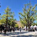 대학로 마로니에 공원에서 이미지