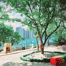 새마을로3길-3 이미지