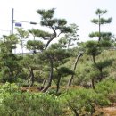 경재목장 Daum카페