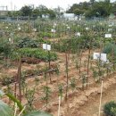 수성농장 이미지