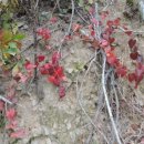 고을농장 이미지