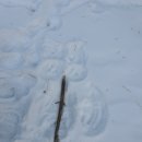 천동한의원 이미지