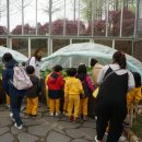 흥남어린이집 이미지