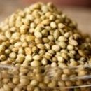 아나스타시아 이미지