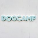 도그카페 이미지