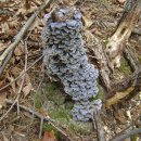 거창-가북-2 이미지