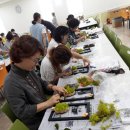 생활원예관리사 이미지