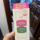 [쿠팡쇼핑/코치시계/다이슨오리진/현대홈쇼핑] 11월의 구매 리스트