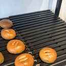 네모랑빵이랑 이미지