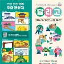 대가야 고분군부터 비슬산·은행나무숲까지…고령·달성·달서 ‘달리고 투어버스’ 운영 이미지