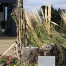 오후다섯시 두가지착각 조차도 [함덕] 함덕해수욕장카페 '<b>오후</b><b>다섯</b><b>시</b> <b>두</b><b>가지</b><b>착각</b> <b>조차도</b>'