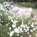 고은햇살 이미지