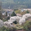 지둔3리 이미지