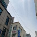 조인하와이 이미지