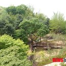 지유1325 이미지