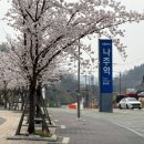 미당시문학관 관광안내소 | 나주역, 전남 나주여행 KTX 코레일역 (물품보관소 위치)