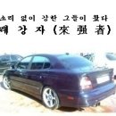 (12) 5월 3일 화 탄천 래강자 대 맵시나 이미지