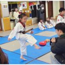 사랑태권도 이미지