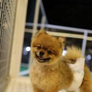 잇츠 소미 스타일 이미지