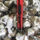 형진수산 이미지