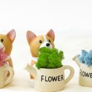 상동국수 이미지