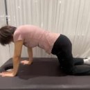 바디오 피트니스 이미지