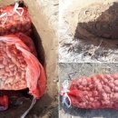 해품은농장 이미지