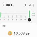 느티나무골 이미지