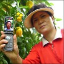 연암농장2 이미지