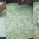 김인숙 농장 이미지