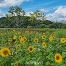 낙동가람 이미지