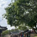 고망고순천오 | [5월]어제는 끝났고, 내일은 멀었고, 오늘은 아직 모른다.