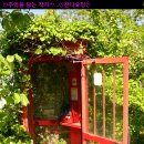 나라 차오름 이미지