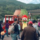 낙동강레일파크 이미지