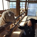 승재목장 이미지