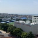 제주한라공인중개사사무소 | 제주 연동 오피스텔 매매 │ 공항 10분 · 바다뷰 가능한 고층 풀옵션 수익형 부동산