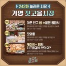 가평잣고을시장닭갈비