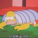 올랄라파리 네이버블로그