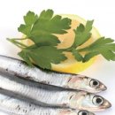 뉴소망약국 이미지