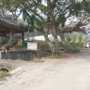 상곡농장 네이버블로그