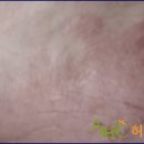 믿음한의원 이미지