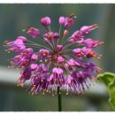 금산농장 이미지