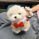 큐보문풀빌라 | [여행] 아이와 경주여행 큐보문풀빌라