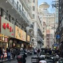 반찬STUDIO-반스카페 | [🇨🇳] 음식이 멋있고 야경이 맛있는 상하이 2일차